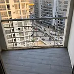 City Vibes Rentals